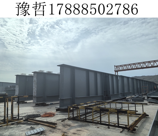 浙江嘉兴540 吨钢箱梁：未来工程的发展方向